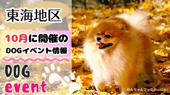 東海　犬イベント　一覧　開催場所　日程　2025　10月　愛知・岐阜・三重・静岡・山梨