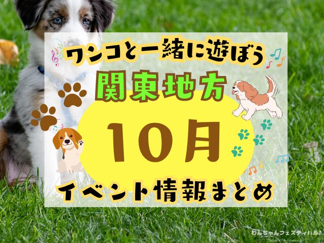 犬イベント　東海地区　静岡県　愛知県　三重県　岐阜県　山梨県　2025年　10月