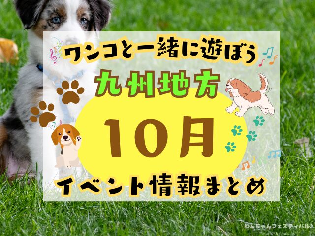 九州　犬イベント　一覧　開催場所　日程　2025　10月
