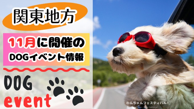犬イベント　関東　東京　千葉　埼玉　神奈川　群馬　栃木　茨城　2025年　11月