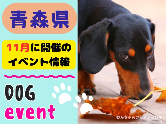 犬イベント　東北地方　青森県　岩手県　秋田県　宮城県　山形県　福島県　2025年　11月