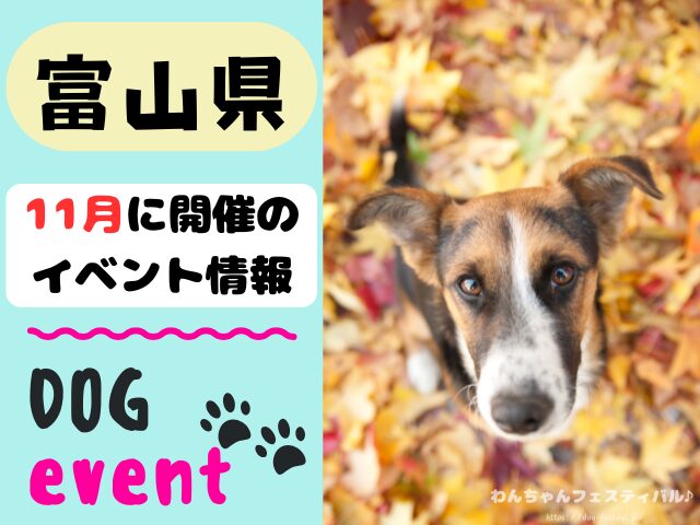 犬イベント　北陸地方　新潟県　富山県　石川県　福井県　2025年　11月