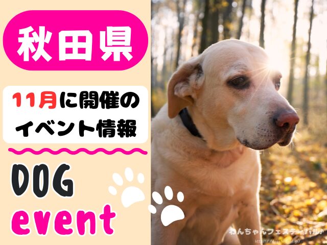 犬イベント　東北地方　青森県　岩手県　秋田県　宮城県　山形県　福島県　2025年　11月