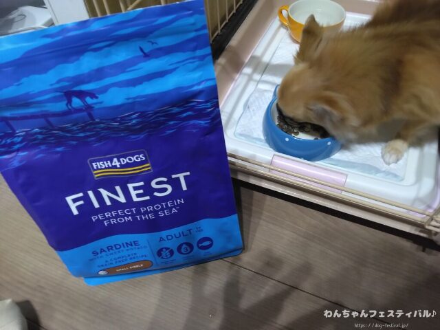 フィッシュ4ドッグの給餌量は？パピーから老犬までの量を解説します