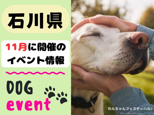 犬イベント　北陸地方　新潟県　富山県　石川県　福井県　2025年　11月