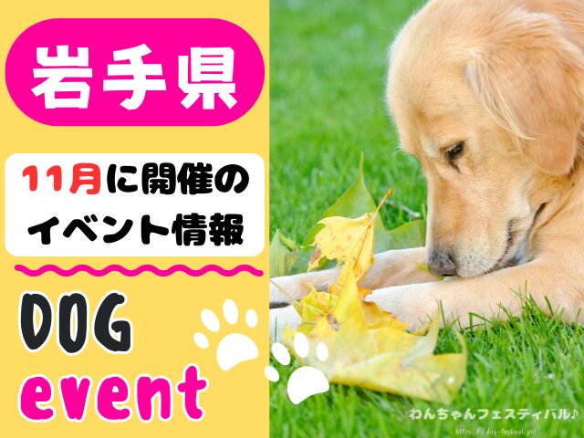 犬イベント　東北地方　青森県　岩手県　秋田県　宮城県　山形県　福島県　2025年　11月