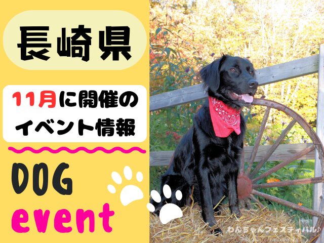 犬イベント　九州　福岡県　佐賀県　長崎県　熊本県　大分県　宮崎県　鹿児島県　2025年　11月