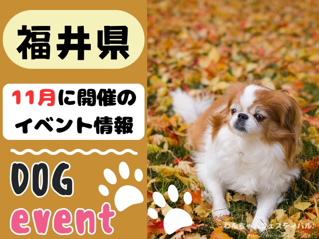 犬イベント　北陸地方　新潟県　富山県　石川県　福井県　2025年　11月