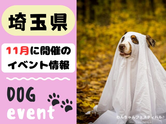 犬イベント　東海地区　静岡県　愛知県　三重県　岐阜県　山梨県　2025年　11月