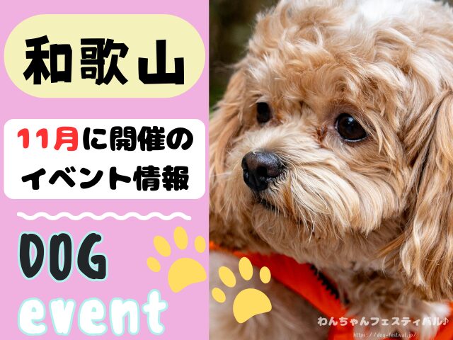 関西　犬イベント　一覧　開催場所　日程　2025　11月　大阪府　京都府　兵庫県　奈良県　滋賀県　和歌山県