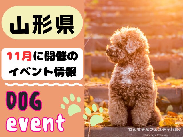 犬イベント　東北地方　青森県　岩手県　秋田県　宮城県　山形県　福島県　2025年　11月