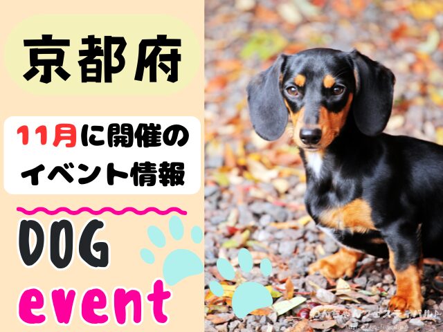 関西　犬イベント　一覧　開催場所　日程　2025　11月　大阪府　京都府　兵庫県　奈良県　滋賀県　和歌山県