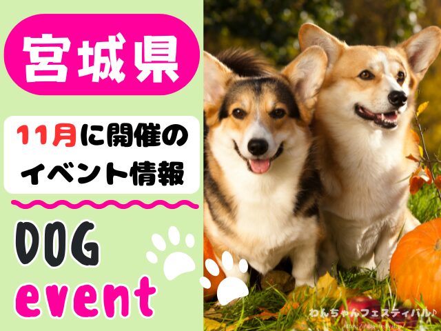犬イベント　東北地方　青森県　岩手県　秋田県　宮城県　山形県　福島県　2025年　11月