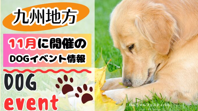 九州　犬イベント　一覧　開催場所　日程　2025　11月