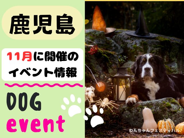 犬イベント　九州　福岡県　佐賀県　長崎県　熊本県　大分県　宮崎県　鹿児島県　2025年　11月