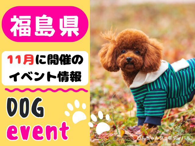 犬イベント　東北地方　青森県　岩手県　秋田県　宮城県　山形県　福島県　2025年　11月