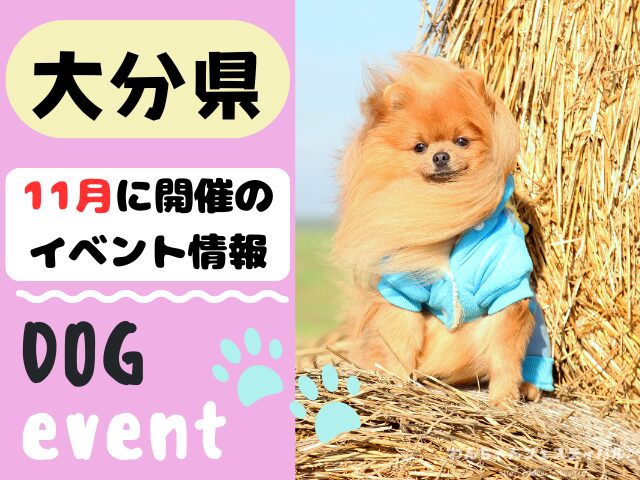犬イベント　九州　福岡県　佐賀県　長崎県　熊本県　大分県　宮崎県　鹿児島県　2025年　11月