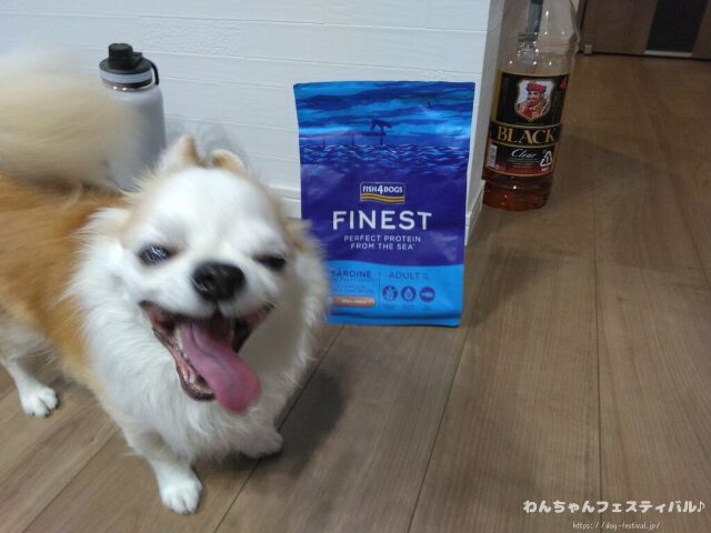 フィッシュ4ドッグの給餌量は？パピーから老犬までの量を解説します