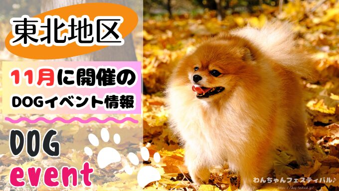 東北地方　犬イベント　一覧　開催場所　日程　2025　11月