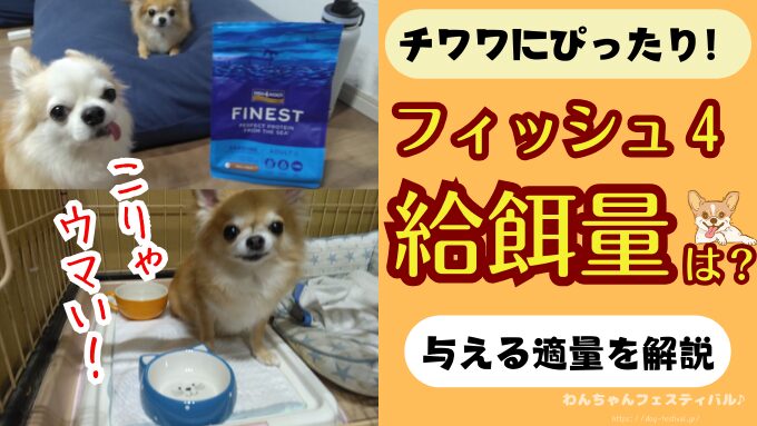 フィッシュ4ドッグの給餌量は？パピーから老犬までの量を解説します