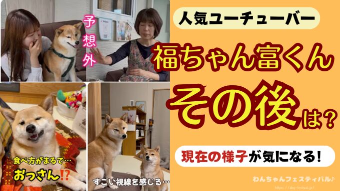 「福ちゃん富くん」YouTubeのその後は？ママの病気やアンチの噂・軽井沢の家5年8ヶ月の軌跡まとめ！