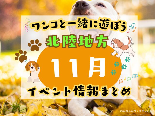 犬イベント　北陸地方　新潟県　富山県　石川県　福井県　2025年　11月