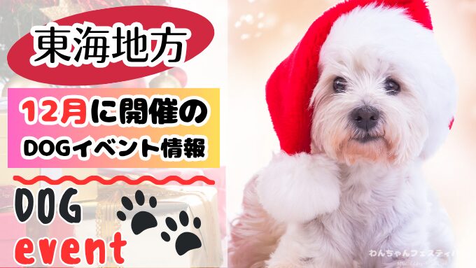 犬イベント　東海地区　静岡県　愛知県　三重県　岐阜県　山梨県　2025年　12月