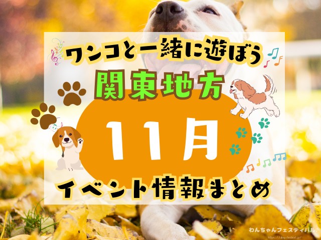 犬イベント　東海地区　静岡県　愛知県　三重県　岐阜県　山梨県　2025年　11月