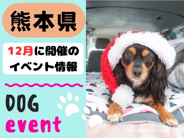 犬イベント　九州　福岡県　佐賀県　長崎県　熊本県　大分県　宮崎県　鹿児島県　2025年　12月