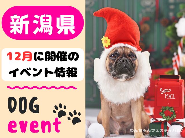 犬イベント 北陸地方 新潟県 富山県 石川県 福井県 2025年 12月