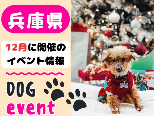 関西　犬イベント　一覧　開催場所　日程　2025　12月　大阪府　京都府　兵庫県　奈良県　滋賀県　和歌山県