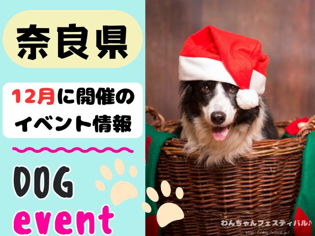 関西　犬イベント　一覧　開催場所　日程　2025　12月　大阪府　京都府　兵庫県　奈良県　滋賀県　和歌山県