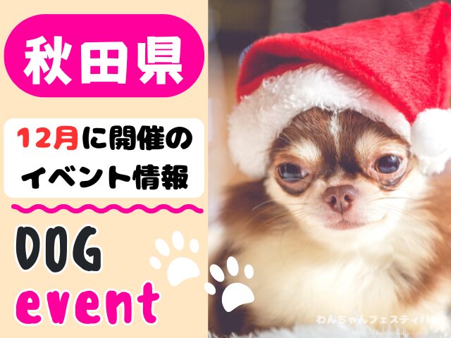 犬イベント 東北地方 青森県 岩手県 秋田県 宮城県 山形県 福島県 2025年 12月