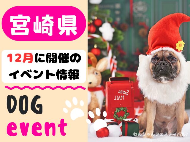 犬イベント　九州　福岡県　佐賀県　長崎県　熊本県　大分県　宮崎県　鹿児島県　2025年　12月