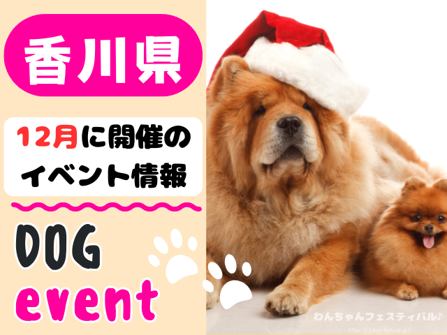 香川　犬イベント　12月