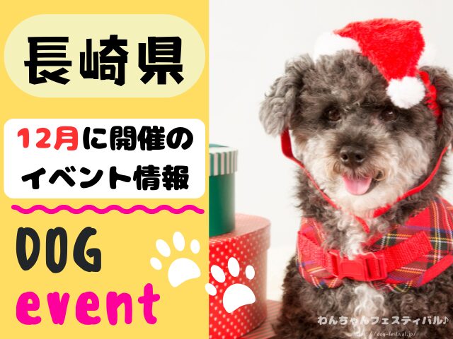 犬イベント　九州　福岡県　佐賀県　長崎県　熊本県　大分県　宮崎県　鹿児島県　2025年　12月