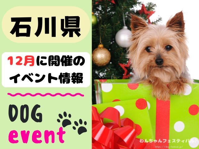犬イベント 北陸地方 新潟県 富山県 石川県 福井県 2025年 12月