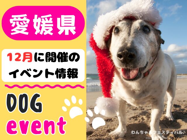 愛媛　犬イベント　12月