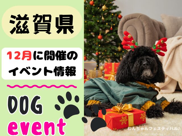 関西　犬イベント　一覧　開催場所　日程　2025　12月　大阪府　京都府　兵庫県　奈良県　滋賀県　和歌山県