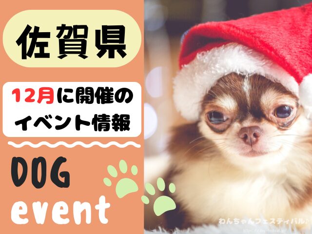 犬イベント　九州　福岡県　佐賀県　長崎県　熊本県　大分県　宮崎県　鹿児島県　2025年　12月