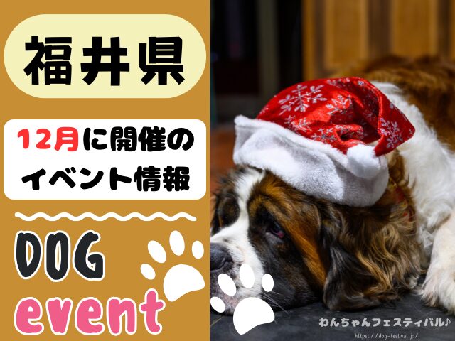 犬イベント 北陸地方 新潟県 富山県 石川県 福井県 2025年 12月