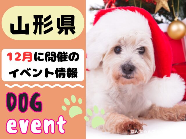 犬イベント 東北地方 青森県 岩手県 秋田県 宮城県 山形県 福島県 2025年 12月