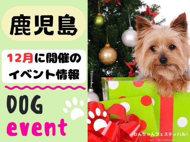 犬イベント　九州　福岡県　佐賀県　長崎県　熊本県　大分県　宮崎県　鹿児島県　2025年　12月