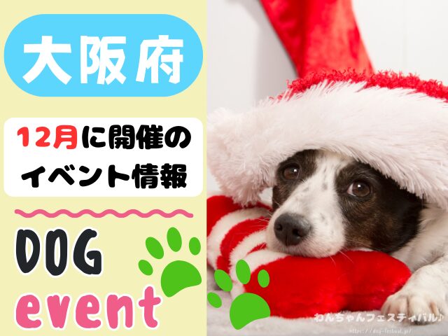 関西　犬イベント　一覧　開催場所　日程　2025　12月　大阪府　京都府　兵庫県　奈良県　滋賀県　和歌山県