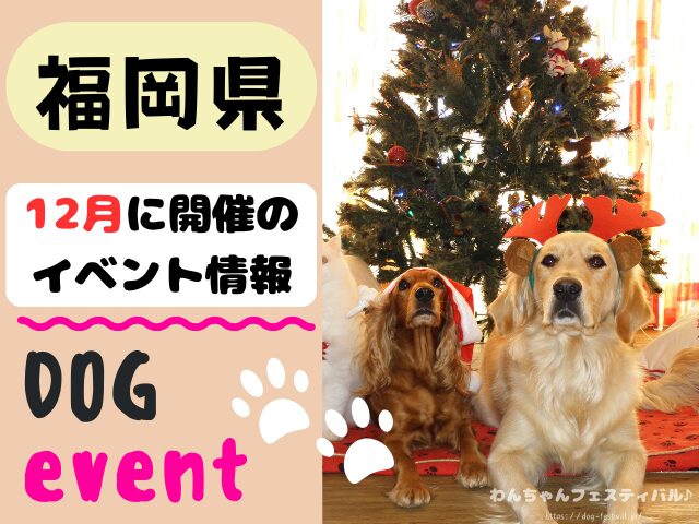 犬イベント　九州　福岡県　佐賀県　長崎県　熊本県　大分県　宮崎県　鹿児島県　2025年　12月