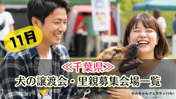 関東 11月 2025年 犬 保護犬 譲渡会 里親 ペットショップ売れ残りの犬 東京 埼玉 千葉 神奈川 茨城 栃木 群馬