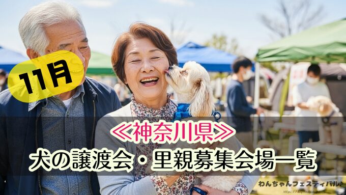 関東 11月 2025年 犬 保護犬 譲渡会 里親 ペットショップ売れ残りの犬 東京 埼玉 千葉 神奈川 茨城 栃木 群馬
