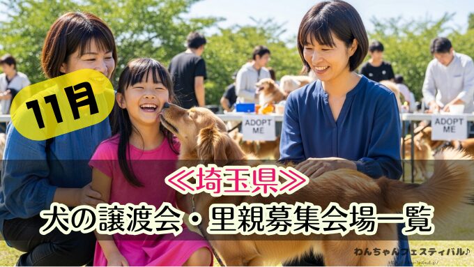 関東 11月 2025年 犬 保護犬 譲渡会 里親 ペットショップ売れ残りの犬 東京 埼玉 千葉 神奈川 茨城 栃木 群馬