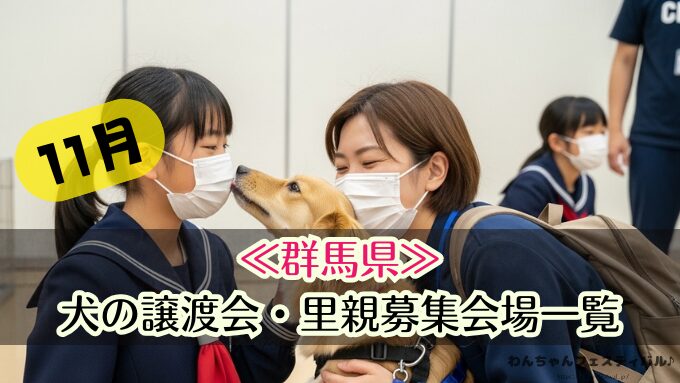 関東 11月 2025年 犬 保護犬 譲渡会 里親 ペットショップ売れ残りの犬 東京 埼玉 千葉 神奈川 茨城 栃木 群馬