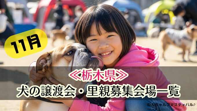 関東 11月 2025年 犬 保護犬 譲渡会 里親 ペットショップ売れ残りの犬 東京 埼玉 千葉 神奈川 茨城 栃木 群馬